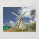 Recherche de les barbade cartes postales Palmier