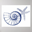 Recherche de nautilus posters Plage