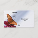 Recherche de antenne cartes visite Insecte