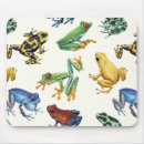 Recherche de grenouille tapis souris Faune