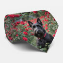 Recherche de terriers cravates Animal