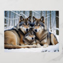 Recherche de amour loup cartes postales Nature