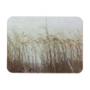 Recherche de dunes magnets Côte