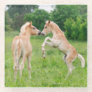 Recherche de cheval dessous de verres Mignon