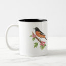 Recherche de baltimore tasses Oiseau
