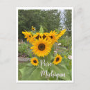 Recherche de summer verticales cartes postales Toute personne