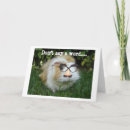 Recherche de gerbilles vœux cartes D'anniversaire de groupe