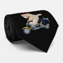 Recherche de bikers cravates Motard