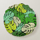 Recherche de monstera coussins Plante d'intérieur