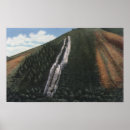 Recherche de glissière posters Lanterne
