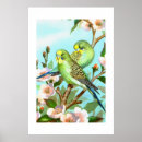 Recherche de perruches posters Oiseaux