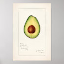 Recherche de cutie art Fruit