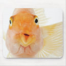 Recherche de eau douce tapis souris Animal