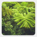 Recherche de verdure luxuriante autocollants Tropical