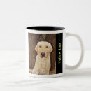Recherche de laboratoire jaune tasses Chasse