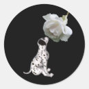 Recherche de dalmatie autocollants Chiot