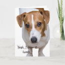 Recherche de animaux condoléances cartes Dog