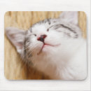 Recherche de sommeil tapis souris Animaux de bébé