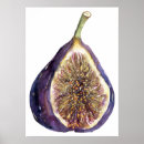 Recherche de figues posters Fruit