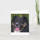 Recherche de berger australien vœux cartes Australishepherd