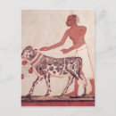 Recherche de sacrifice cartes postales Animal