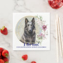 Recherche de belge serviettes Dog