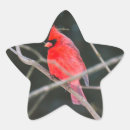 Recherche de cardinaux autocollants Artisanat