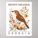 Recherche de vintage bird illustrations posters Nature