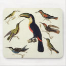 Recherche de humboldt tapis souris Von