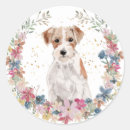 Recherche de jack russell terrier autocollants Animal