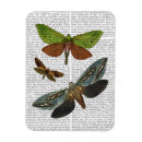 Recherche de mouche magnets Steampunk