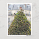 Recherche de fotografie posters Animaux