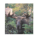 Recherche de habitat blocsnotes Parc