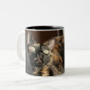 Recherche de ats Chat
