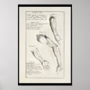Recherche de arms art Vintage
