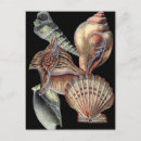 Recherche de créatures de vie marine posters Style nautique