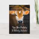 Recherche de vache drôle vœux cartes D'anniversaire de ferme