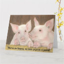 Recherche de porcelet Rose