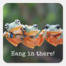 Recherche de trio autocollants Grenouille