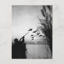 Recherche de canard noir cartes postales Noir et blanc