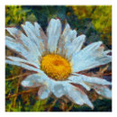 Recherche de de marguerite posters Pour tous