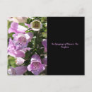 Recherche de fleur de digitale posters Foxglove