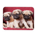 Recherche de triplets magnets Mignon