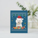 Recherche de chien frise bichon cartes postales Amoureux des chiens