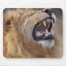 Recherche de le botswana tapis souris Nature