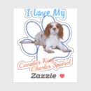 Recherche de cavalier king charles autocollants Chien