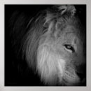 Recherche de chat savane art Fierté