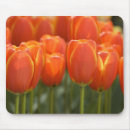 Recherche de hollande tapis souris Hollandais