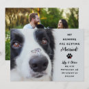 Recherche de humain invitations Photo de chien