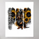 Recherche de chien loup posters Amoureux des chiens